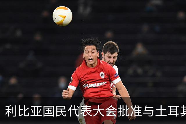 利比亚国民代表大会批准与土耳其海域划界协议，欧盟和希腊表达反对