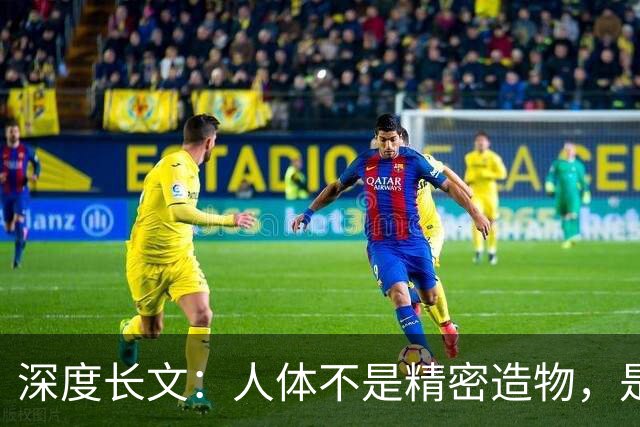 深度长文：人体不是精密造物，是进化盖了 5 亿年的“烂尾楼”！
